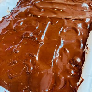 Chocolate Covered Strawberry Bark