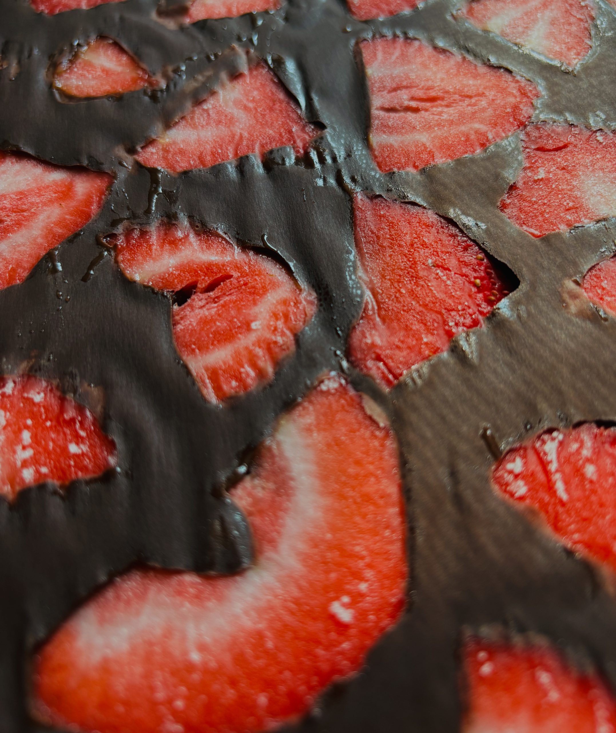 Chocolate Covered Strawberry Bark
